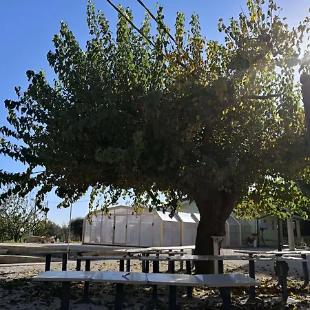 Marima לינה וארוחת בוקר Pollenza