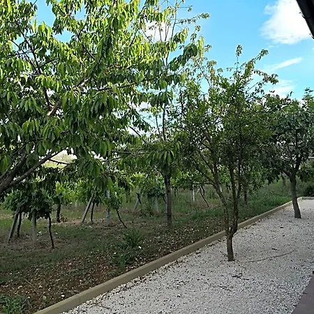 Marima